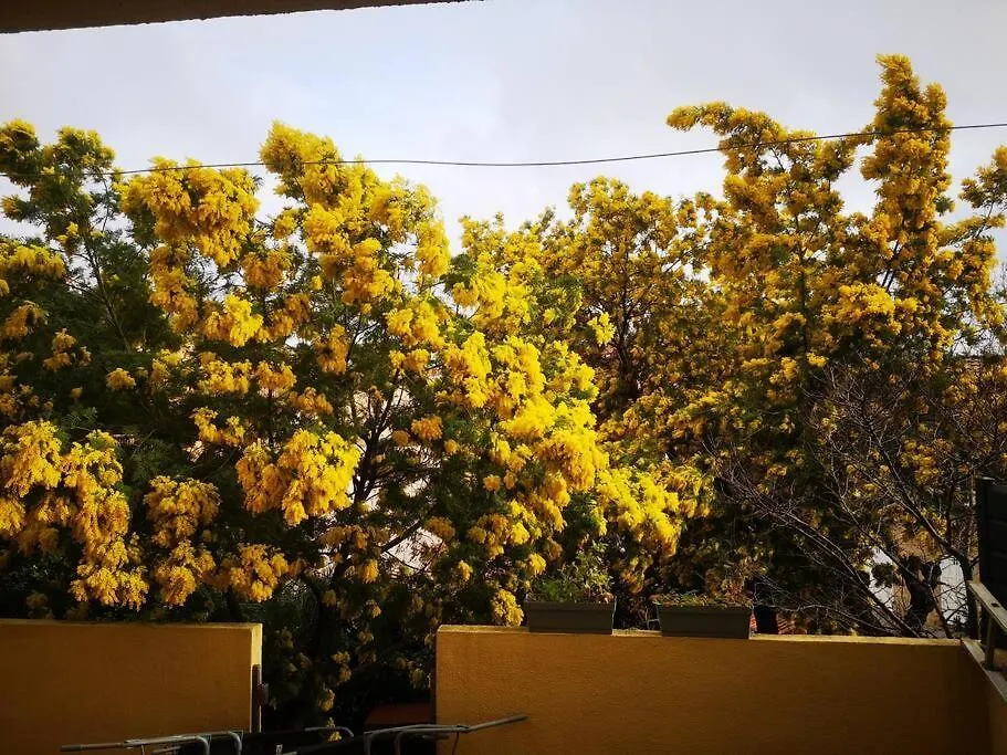 Appartement Proche Mer Avec Terrasse Et Jardin Privatif Hyeres France