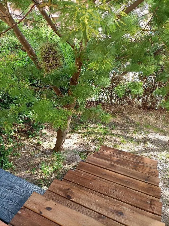 Appartement Proche Mer Avec Terrasse Et Jardin Privatif Hyeres Apartment